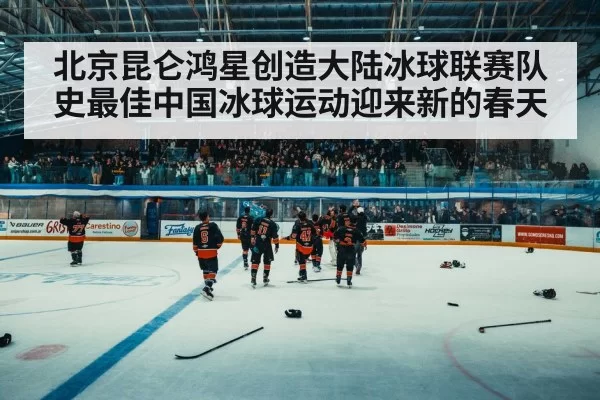 ice hockey arena crowd